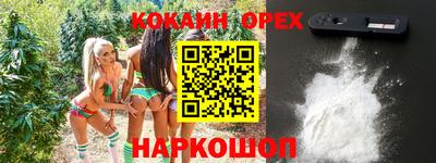 индика Аргун