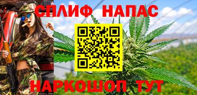 индика Аргун