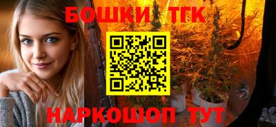 индика Аргун