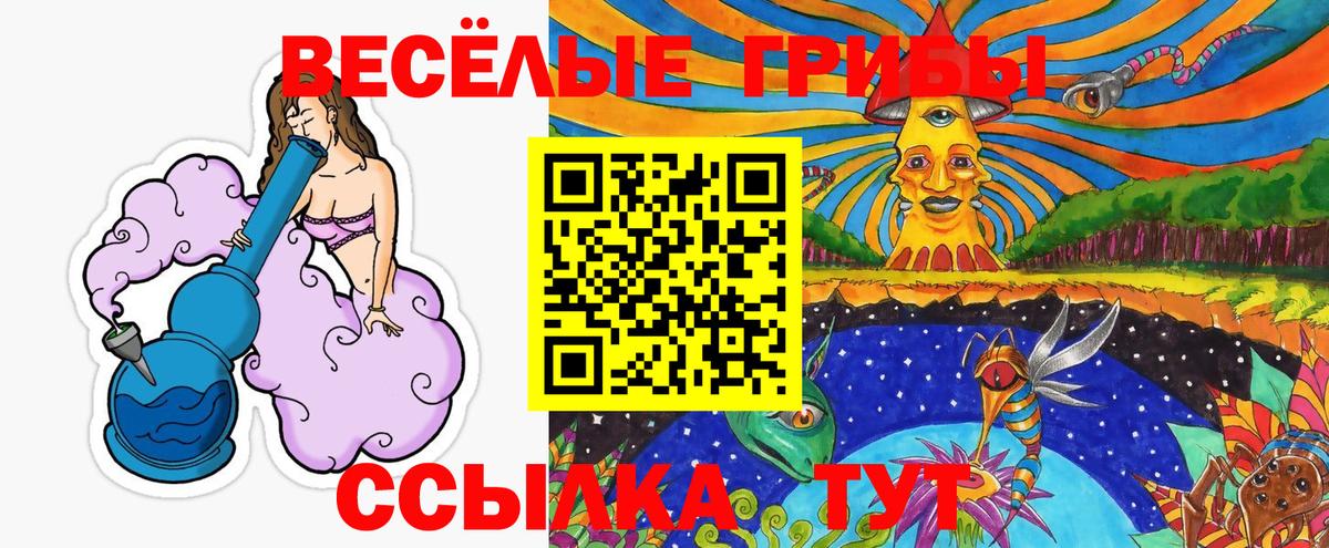 Галлюциногенные грибы Cubensis Бердск