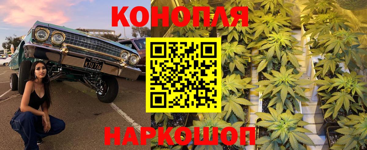 Канабис индика  МАРИХУАНА тримм  Канабис THC 21%  Бердск 